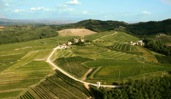 Friuli