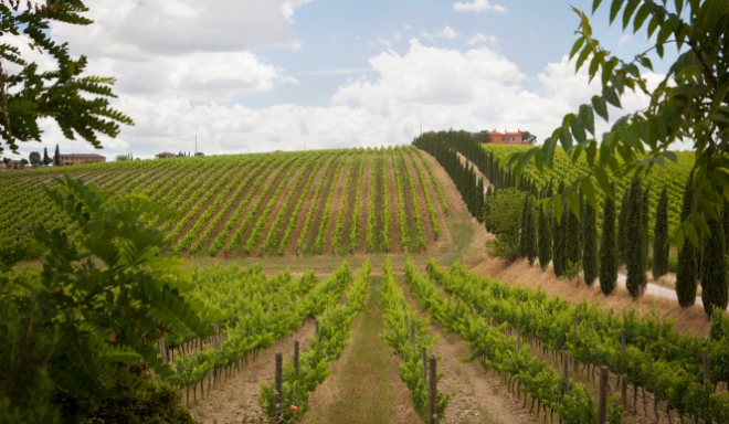 Piemonte