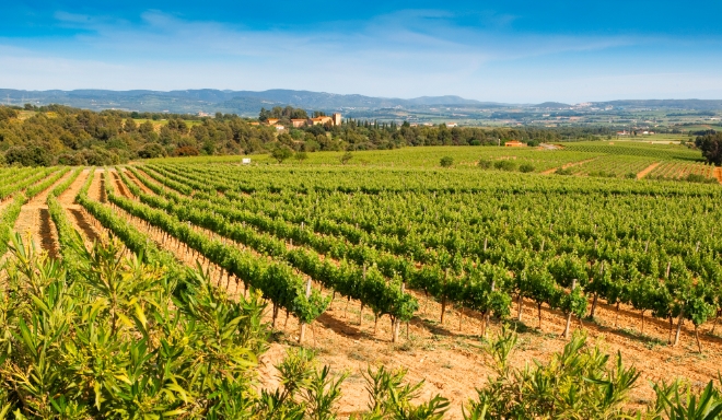 Penedés (Catalunya)