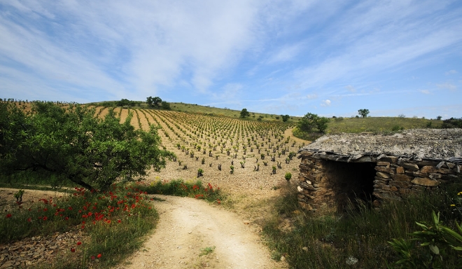 Gil Family Estates