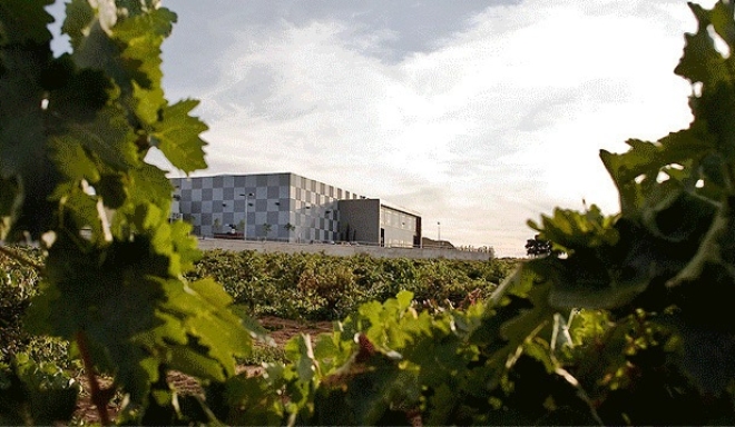 Bodegas Mano a Mano