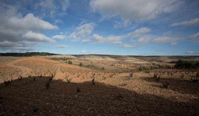 Bodegas Breca