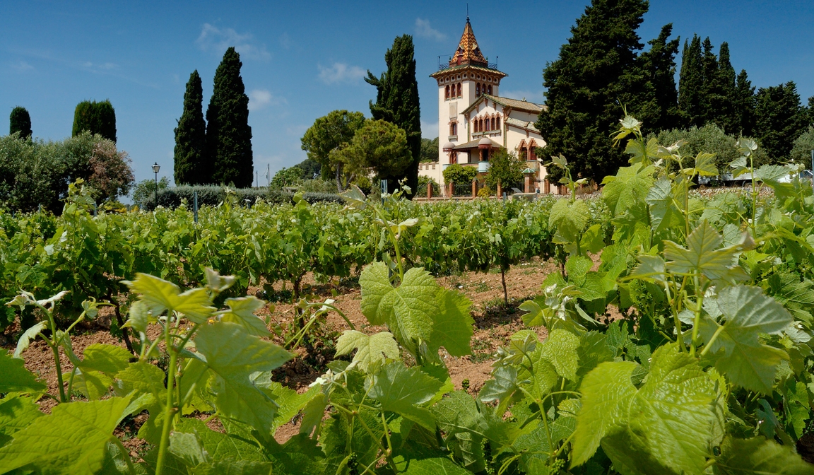 Provence