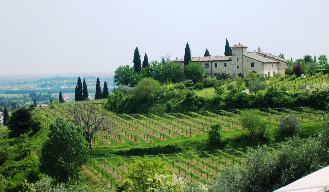 Azienda Agricola Tommaso Bussola