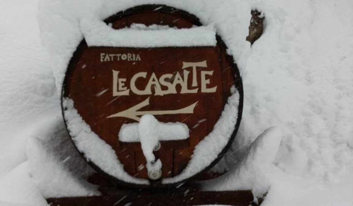 Fattoria Le Casalte