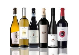 Italien Bestsellers 0 Weinpaket Div.Produzenten